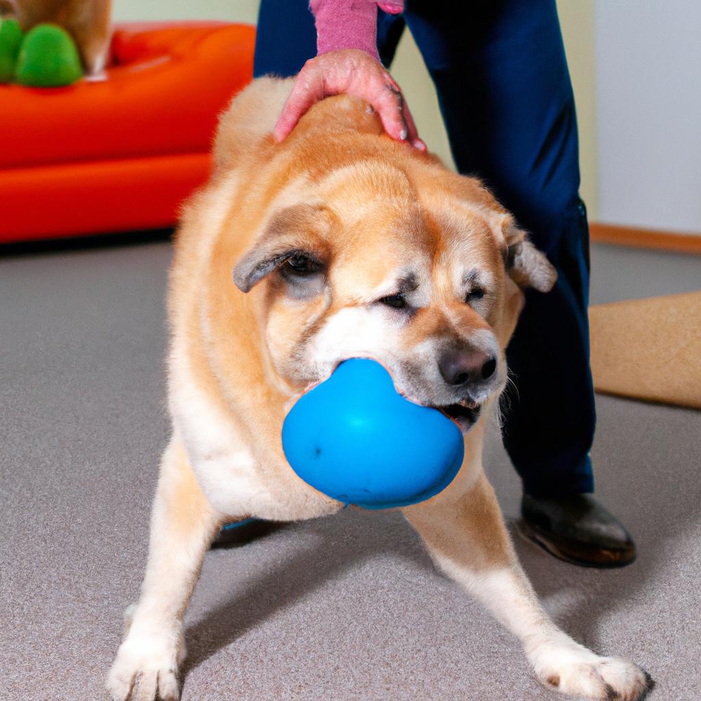 様々な犬種に対応したトレーニング