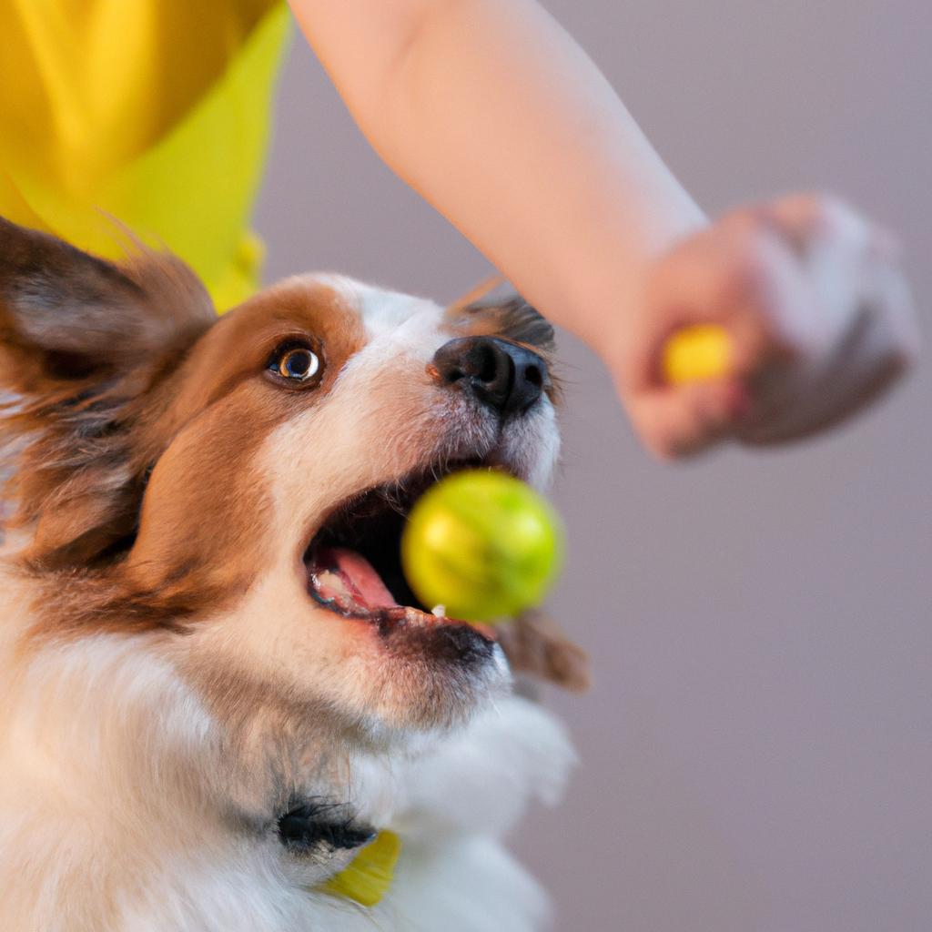 愛犬を見守る24時間体制