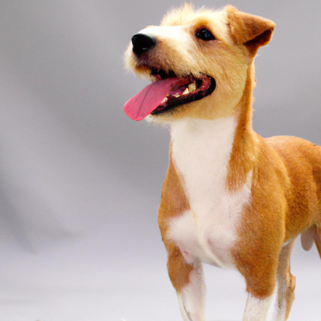 今すぐ愛犬の大切な時間を予約しよう！