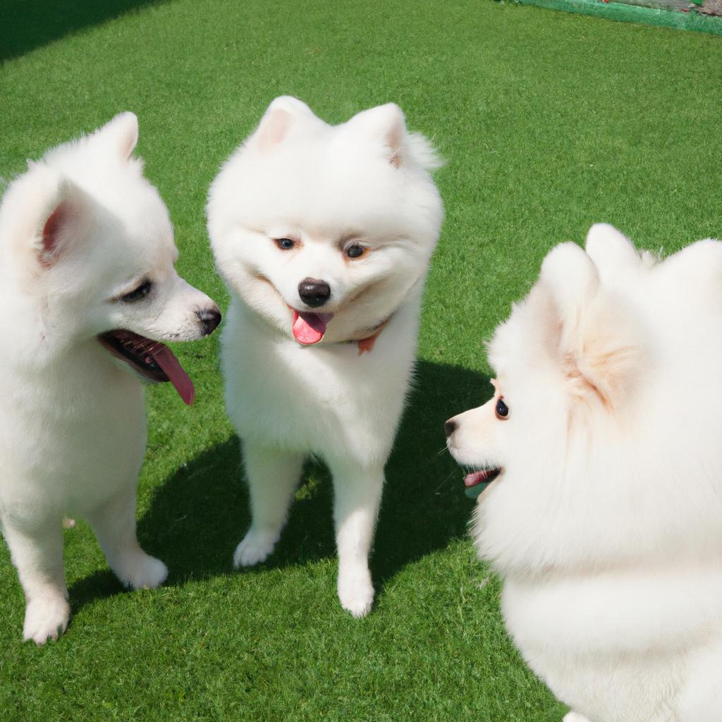 今すぐお問い合わせを！