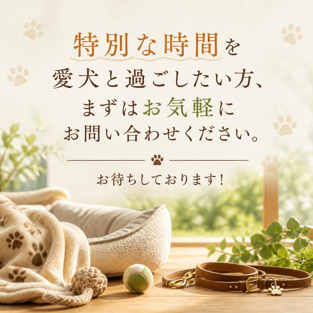 今すぐお問い合わせ！