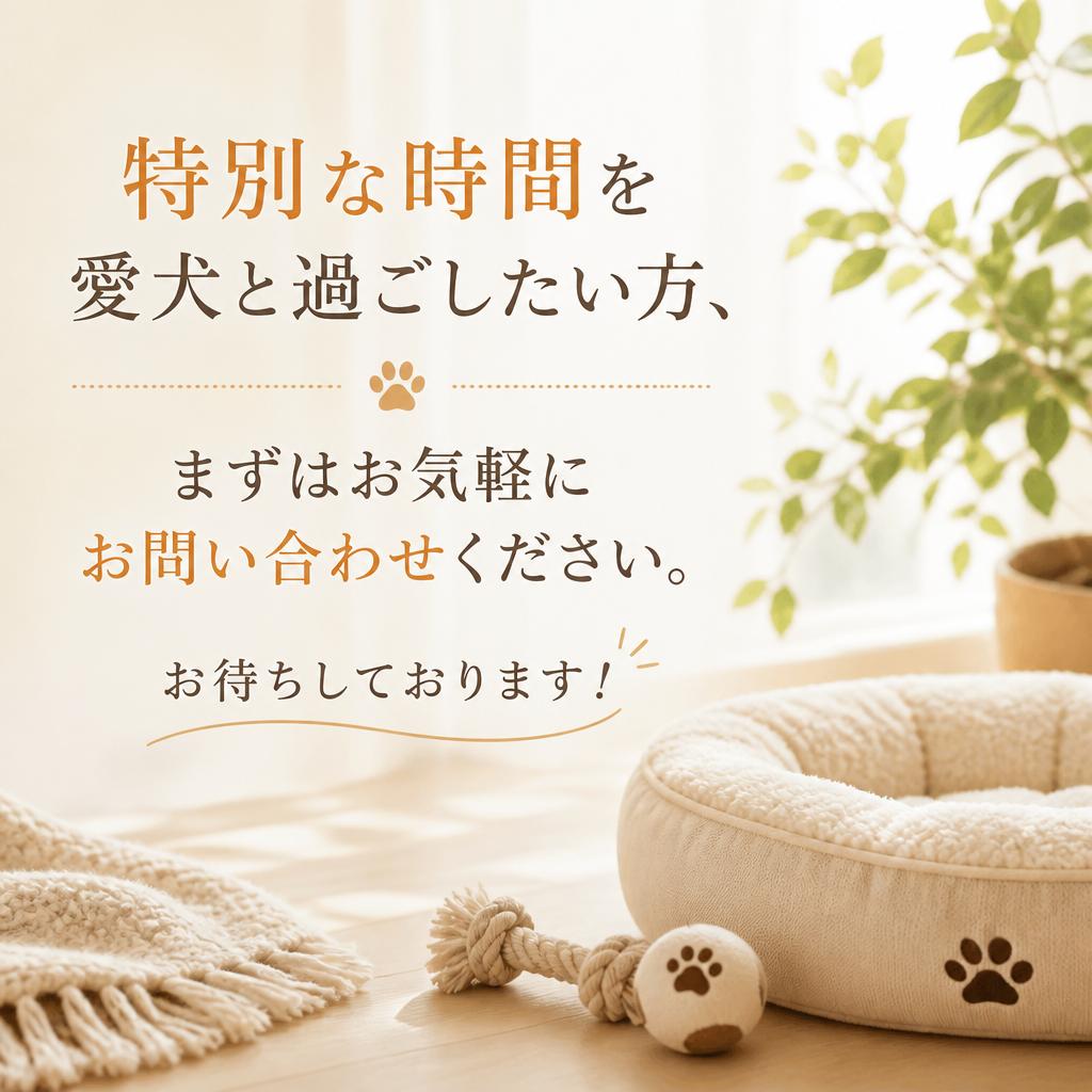 今すぐお問い合わせ！