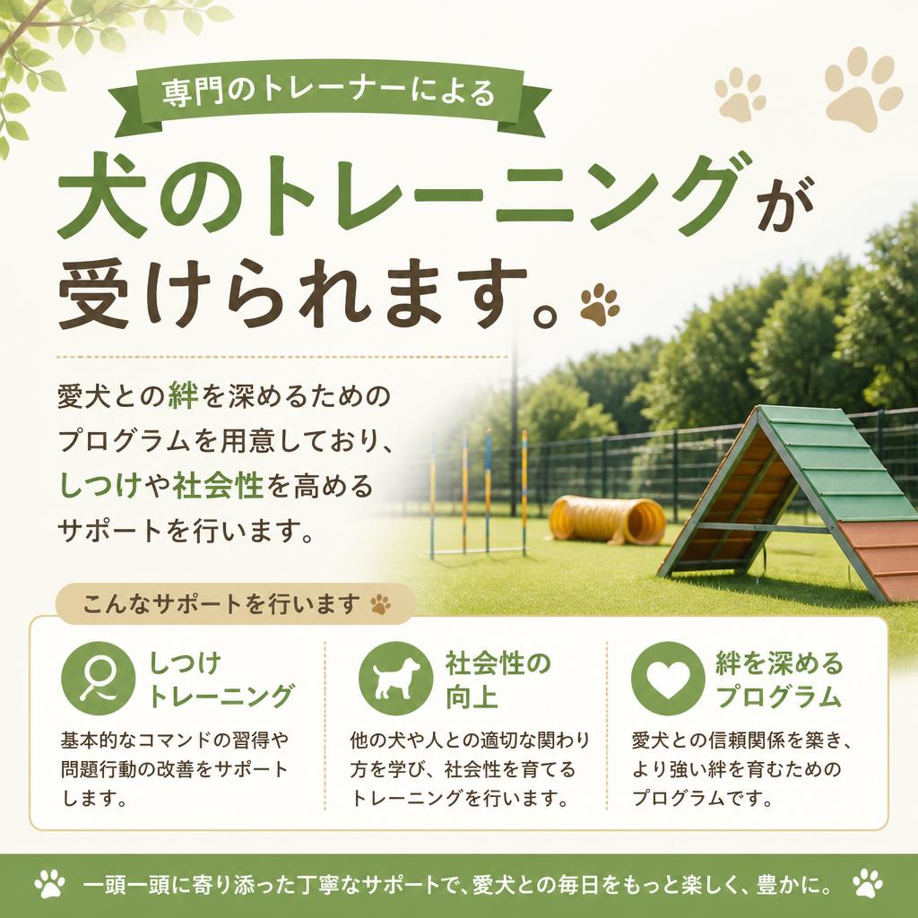 犬のトレーニングプログラムで心も体も健康に