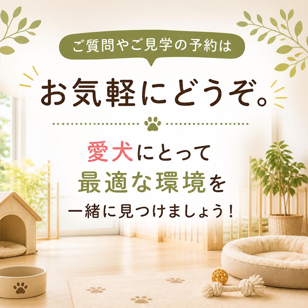 今すぐお問い合わせを！