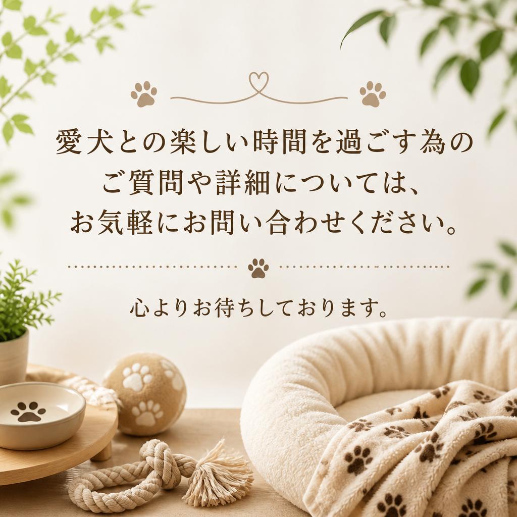 今すぐお問い合わせを！