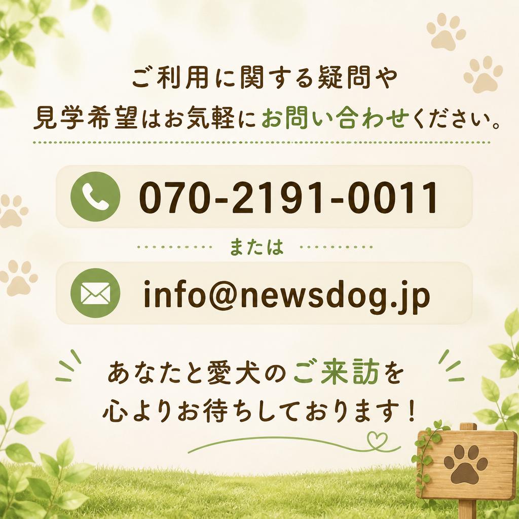 今すぐお問い合わせを！