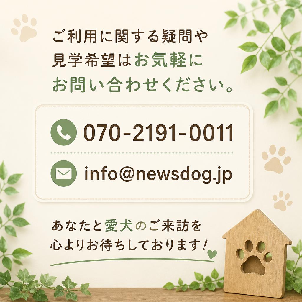 今すぐお問い合わせを！