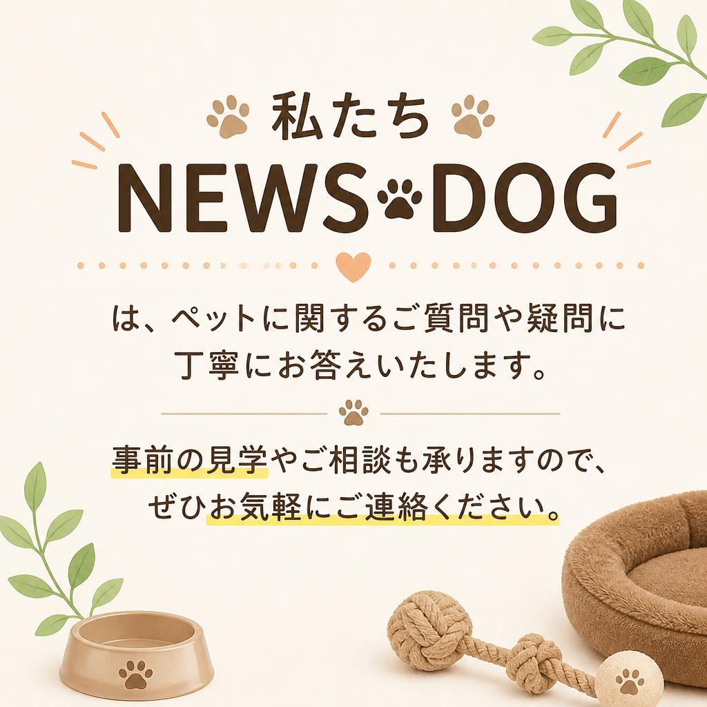 お気軽にお問い合わせください！