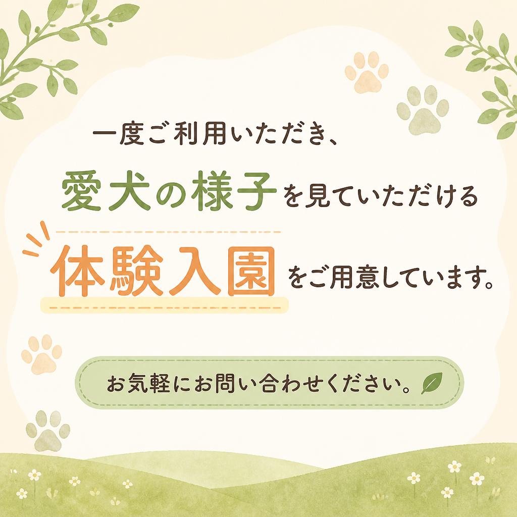 まずは体験入園を！