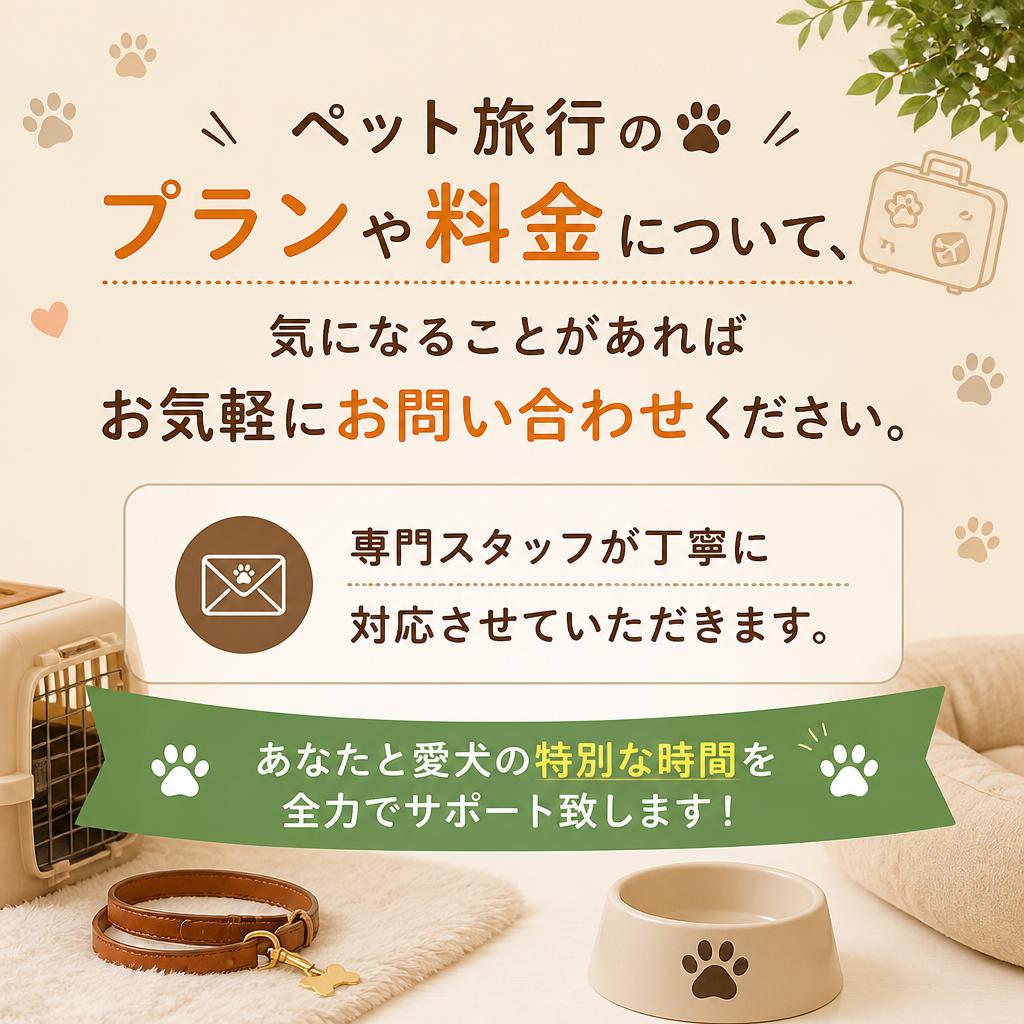今すぐお問い合わせください！