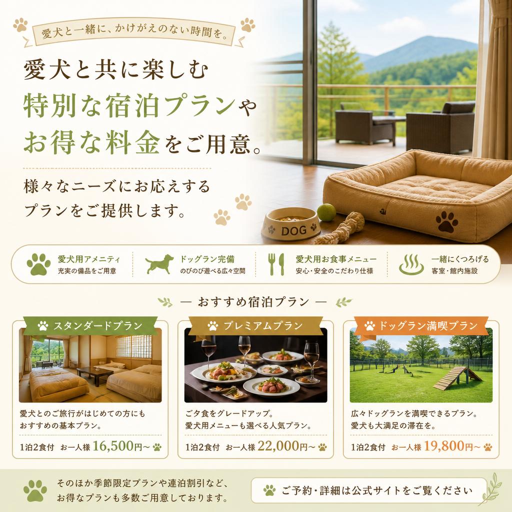 特別なプランと料金案内