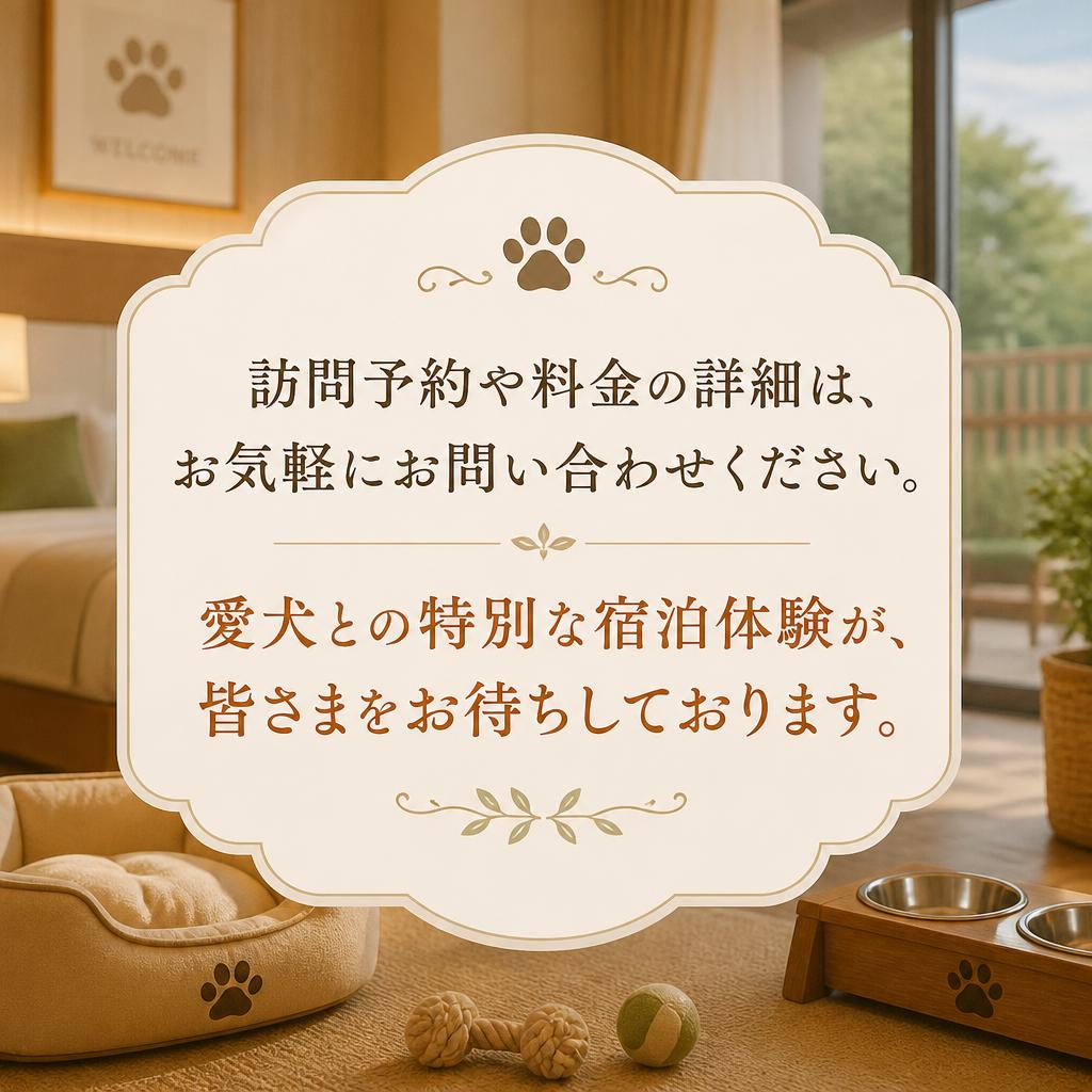 今すぐお問い合わせを！特別な体験へ一歩踏み出そう