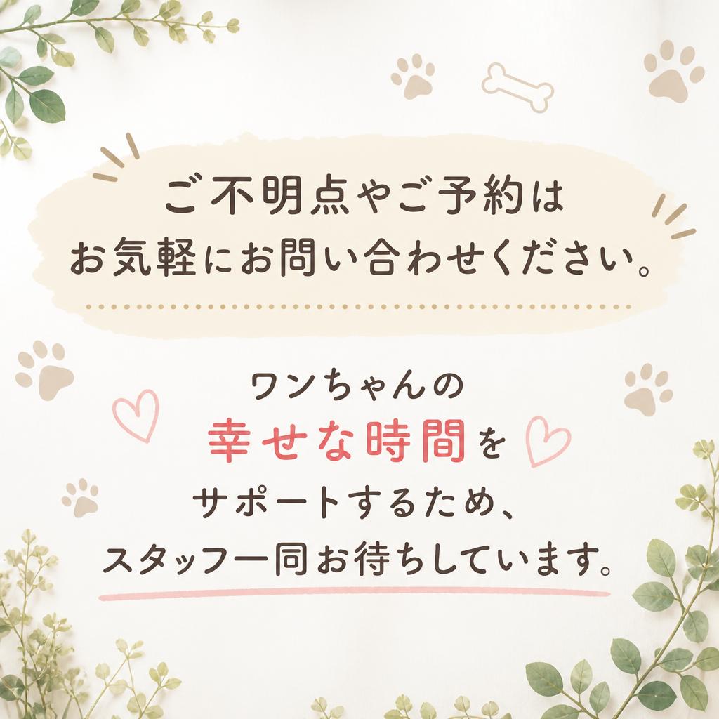 今すぐお問い合わせ！