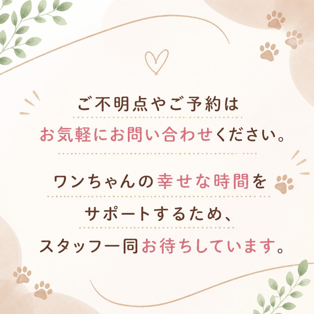 今すぐお問い合わせ！