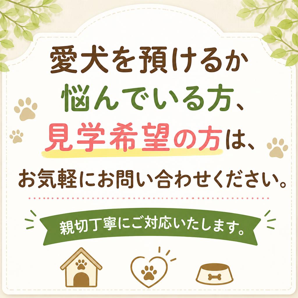 お問い合わせ・ご予約