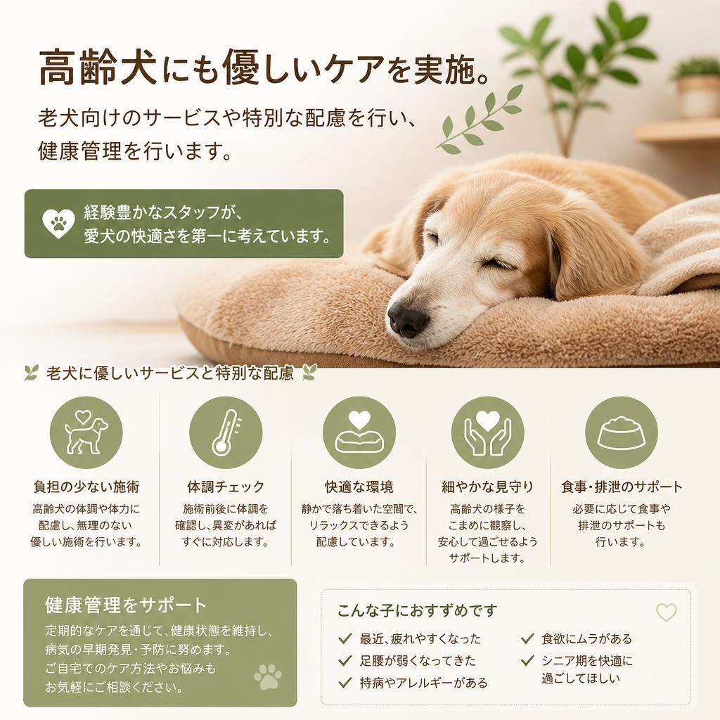 高齢犬ケアのプロフェッショナル