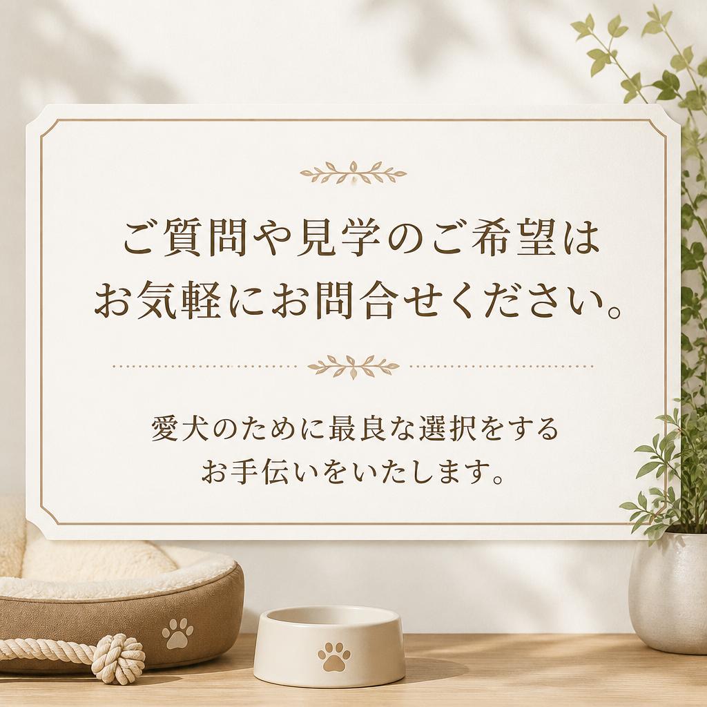 今すぐお問い合わせを！