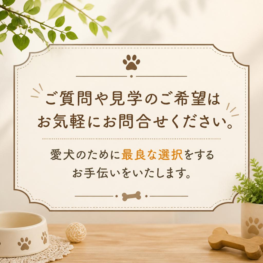 今すぐお問い合わせを！